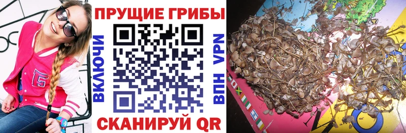 наркошоп  MEGA как зайти  Галлюциногенные грибы MAGIC MUSHROOMS  Углегорск 